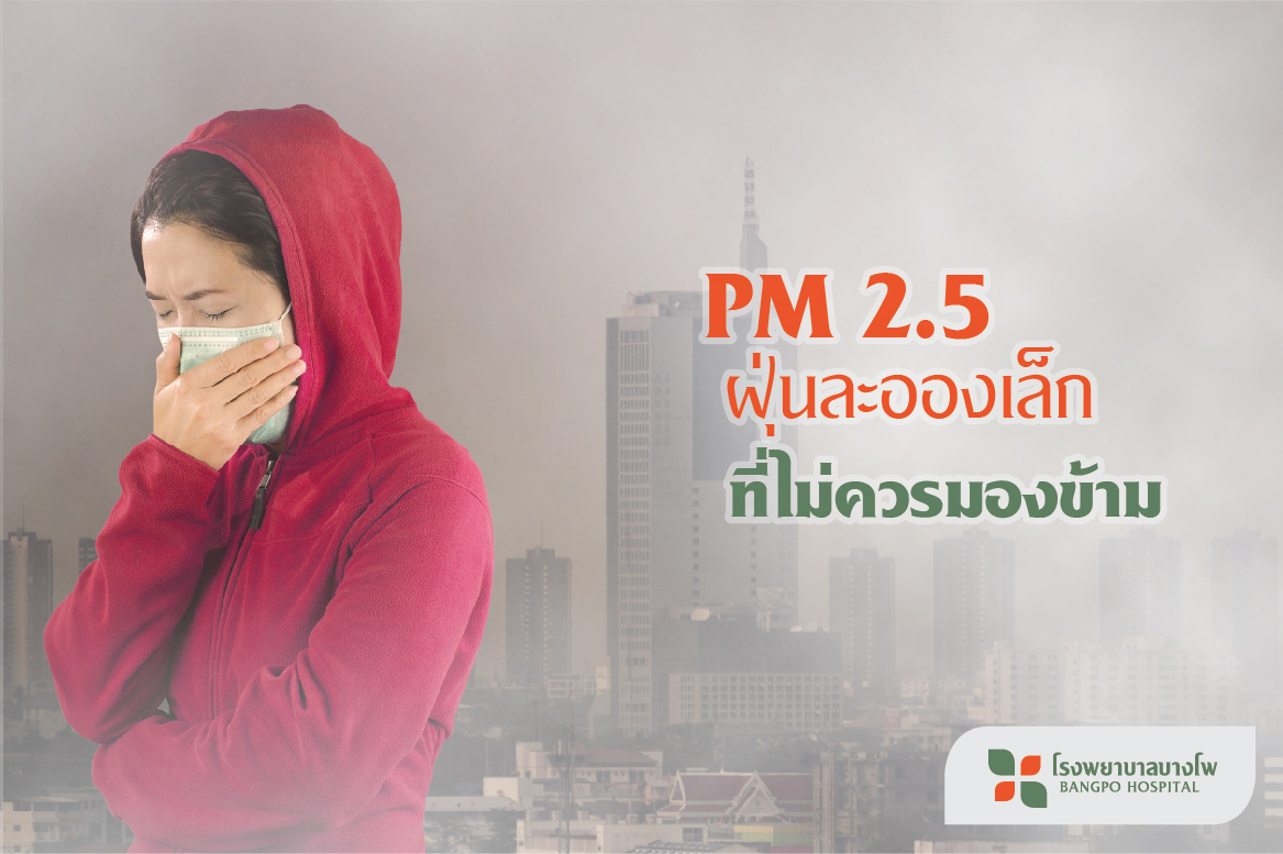 PM 2.5 ฝุ่นละอองเล็ก ที่ไม่ควรมองข้าม